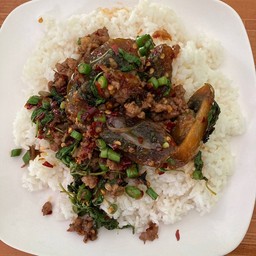 น้องกันต์อาหารตามสั่ง แถว ทต.สุเทพ