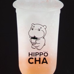 ลิ้นจี่โซดา