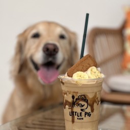 บาคอฟฟี่