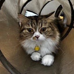 กำลังใจ และความน่ารัก ของเดซี่