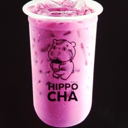 ชานมเผือก นมสด