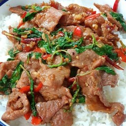 กระเพราหมูราดข้าว