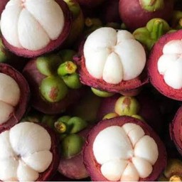 มังคุด ครึ่ง กก.