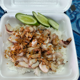 ทอดกระเทียมราดข้าว หมู,ไก่,หมึก(ระบุตัวเลือก)