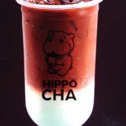 โกโก้มิ้นท์