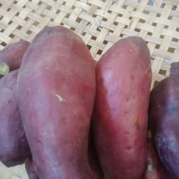 เจ๊แอ๊ว ข้าวโพดต้มเมืองกาญ ตลาดโกสุมรวมใจ