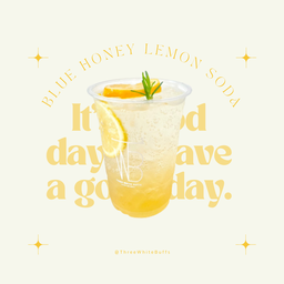 Honey Lemon Soda