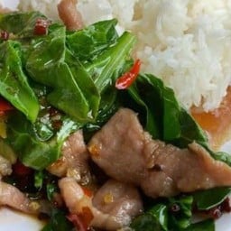 ข้าวผัดคะน้าหมูชิ้น