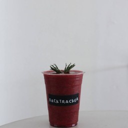 MIX BERRY SMOOTHIE