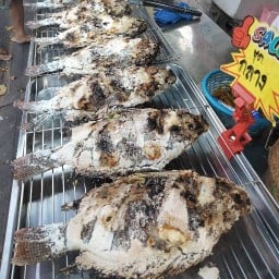 วิท77ปลาเผา-กุ้งเผา เพชรเกษม77(เข้าซอยมาประมาน200เมตรร้านอยู่ขวามือติดกับอาคารชั้นเดียว