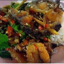 ปลาดุกผัดฉ่าราดข้าว
