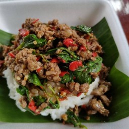 ผัดกระเพราหมูสับราดข้าว