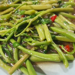 ผัดผักกระเฉด