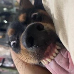 ทิปน้องกาแฟโชว์ฟันสุขภาพดี