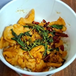 ข้าวกะเพราไก่