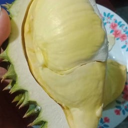 ทุเรียนหมอนทองปราจีนบุรี