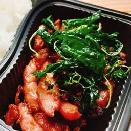 หมูทอดใบกะเพรา (ป้าติ๋ม)