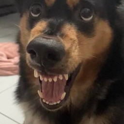 ทิปน้องกาแฟยิ้มหวาน