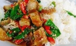 ข้าวผัดกะเพราหมูกรอบ