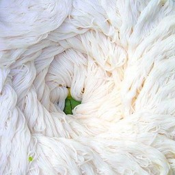 WiNK@ZAAP ขนมจีน