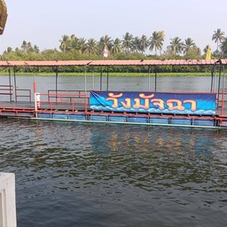 จุดให้อาหารปลา