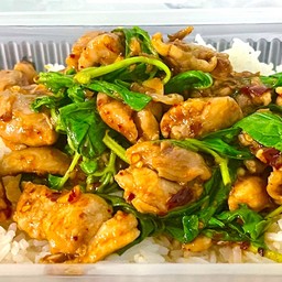 กระเพราไก่+ไข่ดาว 1 ฟอง