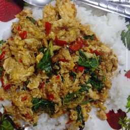 กระเพราไจร ไก่ ราดข้าว