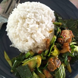 ข้าวคะน้าหมูกรอบ