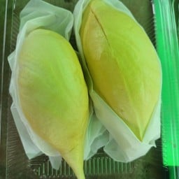 บ่าวเล็กทุเรียนหมอนทอง สาขา1