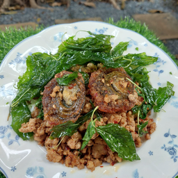 กะเพราไข่เยี่ยวม้าราดข้าว