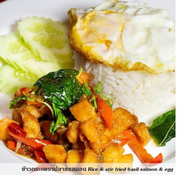 ข้าวราดกระเพราแซลมอนกรอบ+ไข่ดาว
