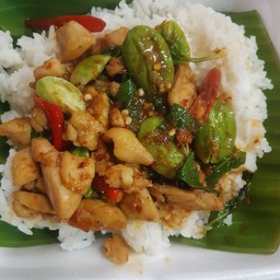 ข้าวราดพริกแกงใต้ไก่สตอ