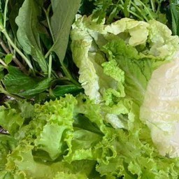 ผักสดๆรวมตามฤดูกาล