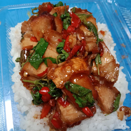 🍛กระเพราหมูกรอบ🍛