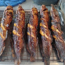 ปลาดุกย่าง