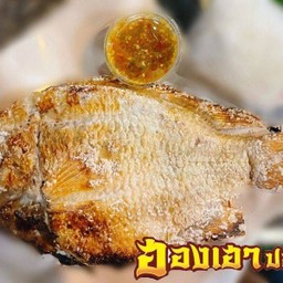 ปลาทับทิมเผา ตัวใหญ่