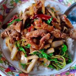 กระเพราเครื่องในไก่หน่อไม้ดอง+ข้าวเปล่า
