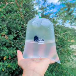 น้ำมะพร้าวสดแท้100%