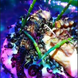 Digital Delicious