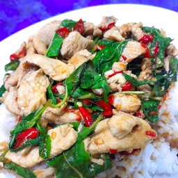 กะเพราไก่ราดข้าว