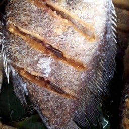 ปลาสลิดทอดกรอบ