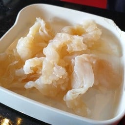 แมงกะพรุน