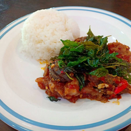 กะเพราไข่เยี่ยวม้า ราดข้าว