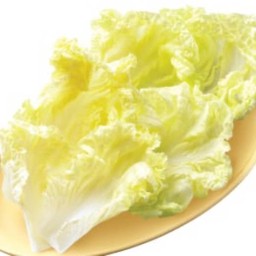 ผักกาดขาว