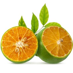 Calamansi 2 pcs