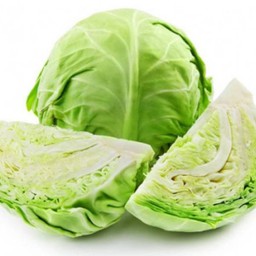 กะหล่ำปลี