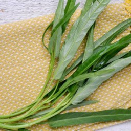 ผักบุ้ง