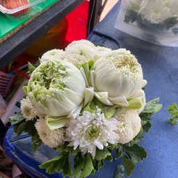 กระถางบัวสีดอกไม้ขาว