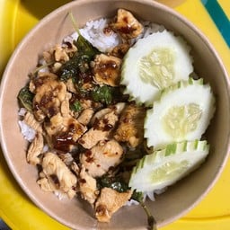 Cooking Mama ข้าวกระเพรา