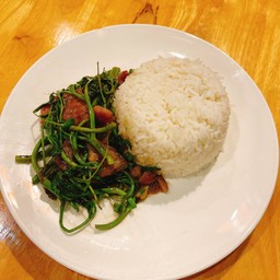 ข้าวราดผัดผักกระเฉด หมู